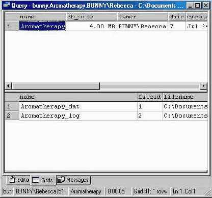  Microsoft SQL Server 2000
