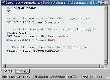   Microsoft SQL Server 2000
