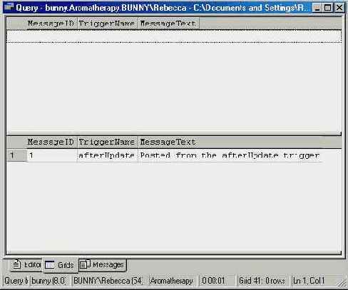   Microsoft SQL Server 2000
