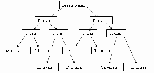   SQL
